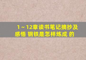 1～12章读书笔记摘抄及感悟 钢铁是怎样炼成 的